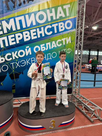 Открытый чемпионат и первенство Тульской области по тхэквондо ИТФ.
